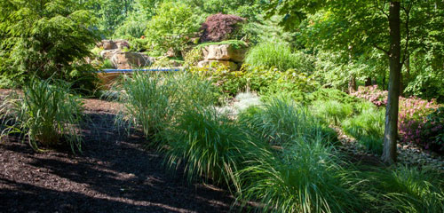 Landscape Mulch Ornamental Grass
